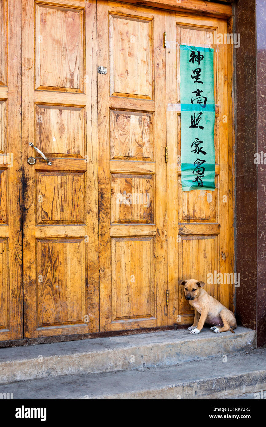 Dog sitter fuori porta in Cina Foto Stock