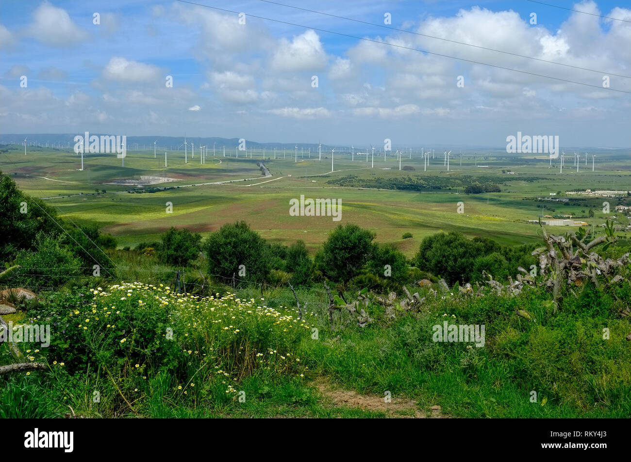 Vista del paesaggio e delle turbine a vento di navigazione dalla Costa de la Luz, Andalusia, Spagna. Foto Stock