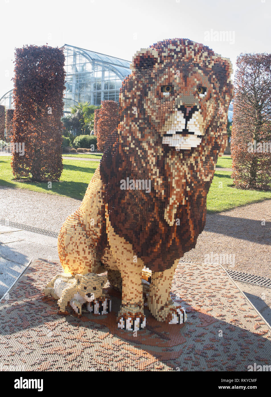 La vita di dimensioni modello di Lego di un leone e cub a 'La Grande mattone Safari' 2019 ad RHS Wisley giardino, Surrey Foto Stock