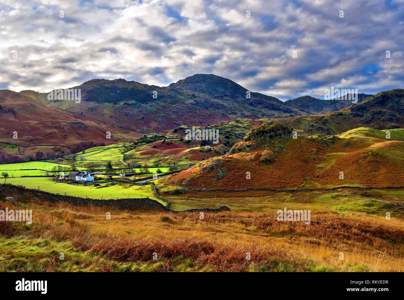 Un autunno vista del caratteristico paesaggio della valle Langdale nel Lake District inglese. Foto Stock