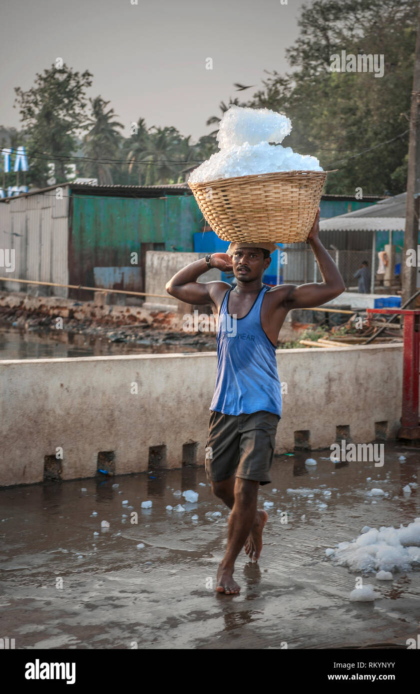 Uomo che porta un cesto di vimini pieno di ghiaccio sul pesce indiano docks. Foto Stock
