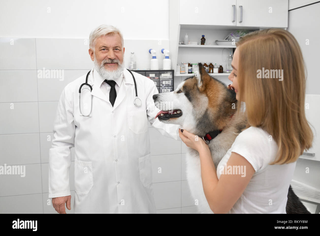 Allegro veterinario anziani indossa in bianco uniforme medica, avente uno stetoscopio sul collo. Medico guardando la telecamera, sorridenti e in posa. Proprietario di belle malamute stroking pet. Foto Stock