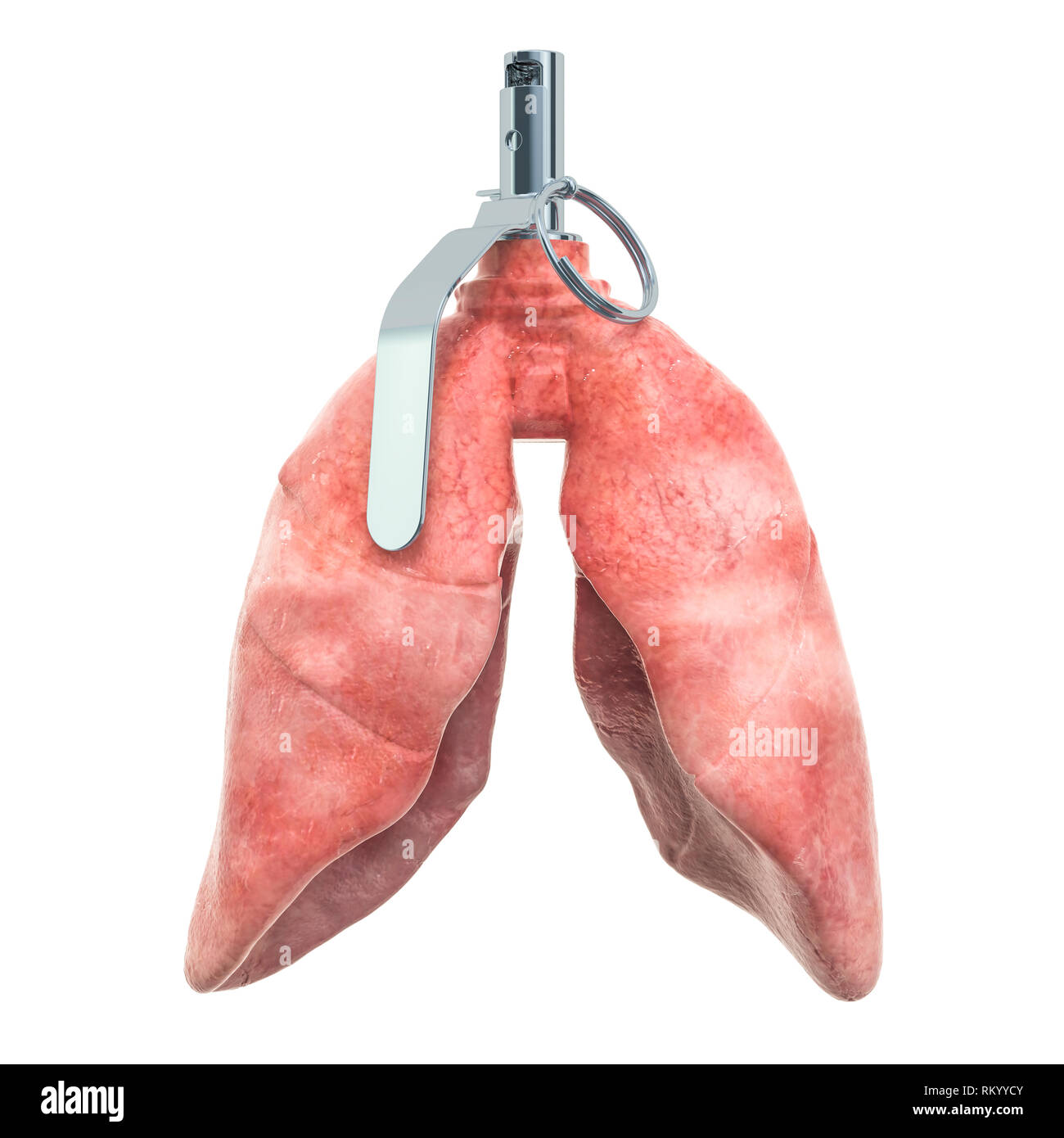 Il dolore nei polmoni, malattia dei polmoni concetto. Polmoni umani come bombe a mano. 3D rendering isolati su sfondo bianco Foto Stock