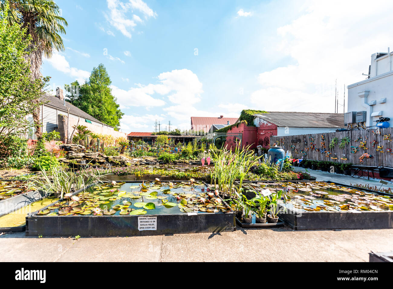 New Orleans, Stati Uniti d'America - 23 Aprile 2018: Louisiana città americana con giardini acquatici parco su Elysian Fields Avenue con ninfee fiori Foto Stock