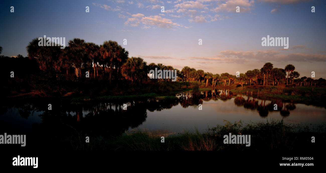Vista panoramica del sole che sorge su un lago sul campo da golf. Foto Stock