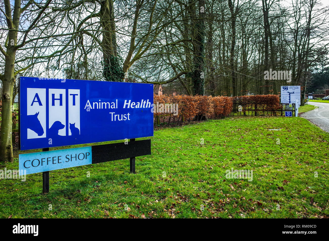 AHT Animal Health Trust Labs a Newmarket Suffolk UK - AHT è un ente di beneficenza leader nel campo della ricerca veterinaria e scientifica Foto Stock