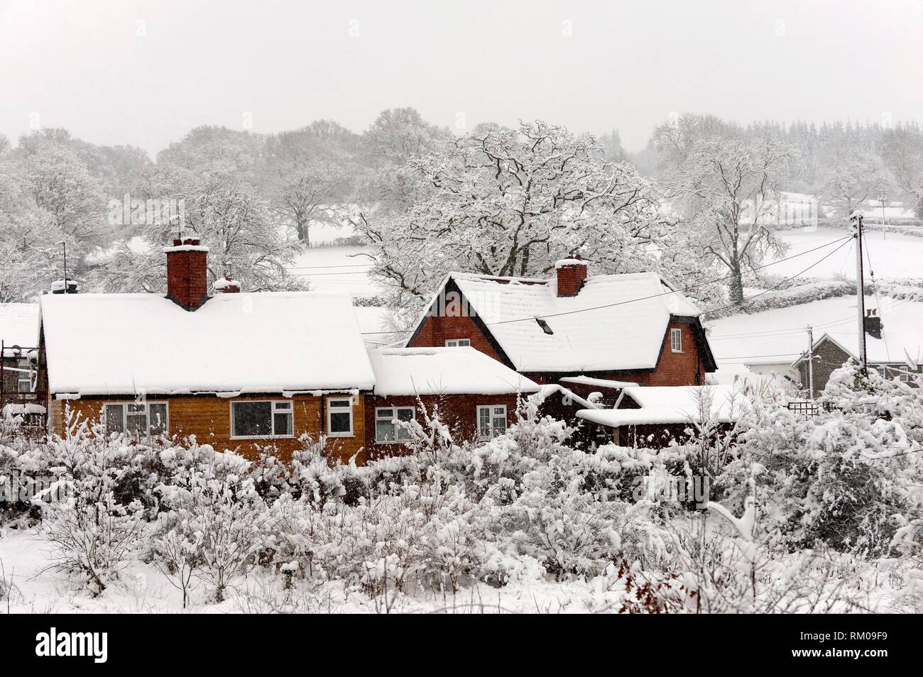 I tetti sono coperti di neve a Builth Wells, Powys, Wales, Regno Unito. Foto Stock