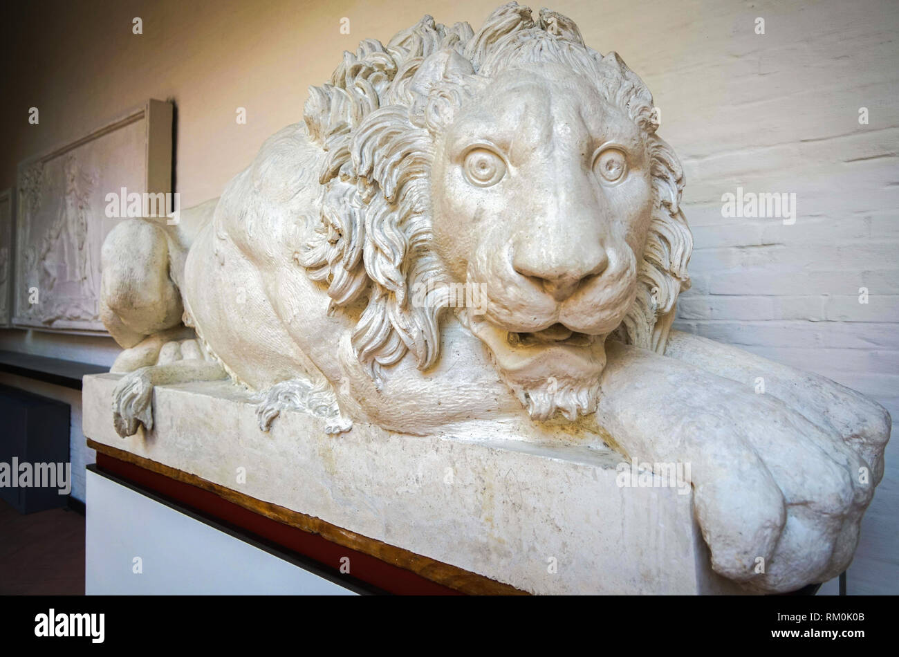 Venezia, Lion nel Museo dell'Accademie Foto Stock