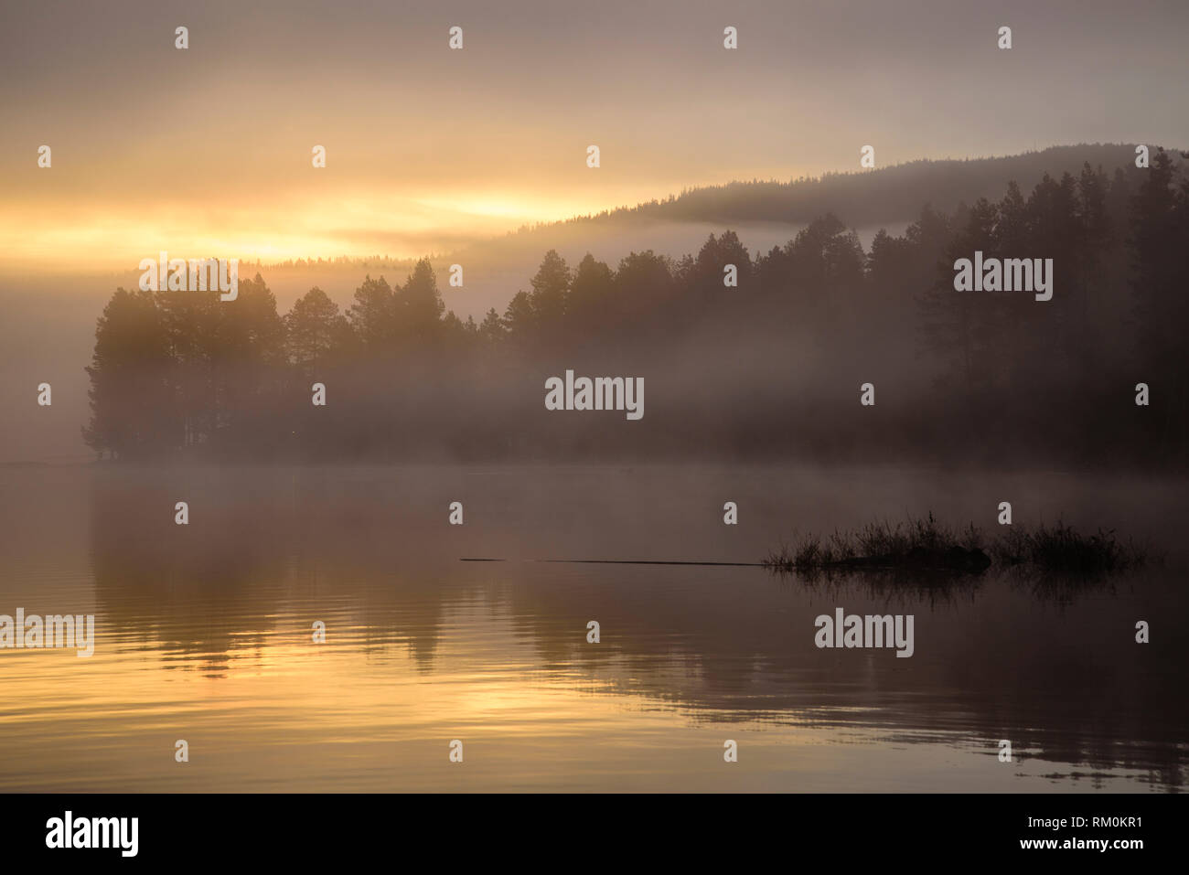 Sunrise nebbia sul lago a gru serbatoio della prateria, Deschutes National Forest, Central Oregon. Foto Stock