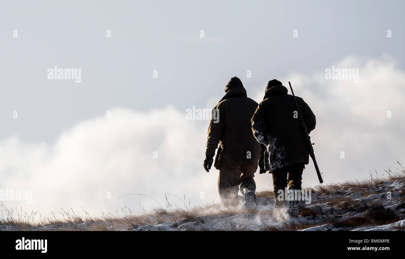 Cervo Stalking nelle Snowy Parco Nazionale del Distretto dei Laghi. Foto Stock