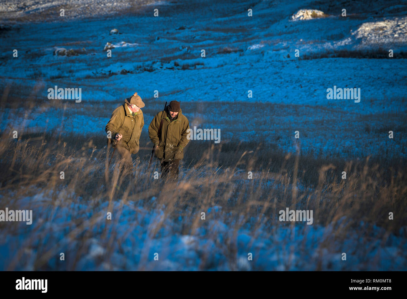 Cervo Stalking nelle Snowy Parco Nazionale del Distretto dei Laghi. Foto Stock