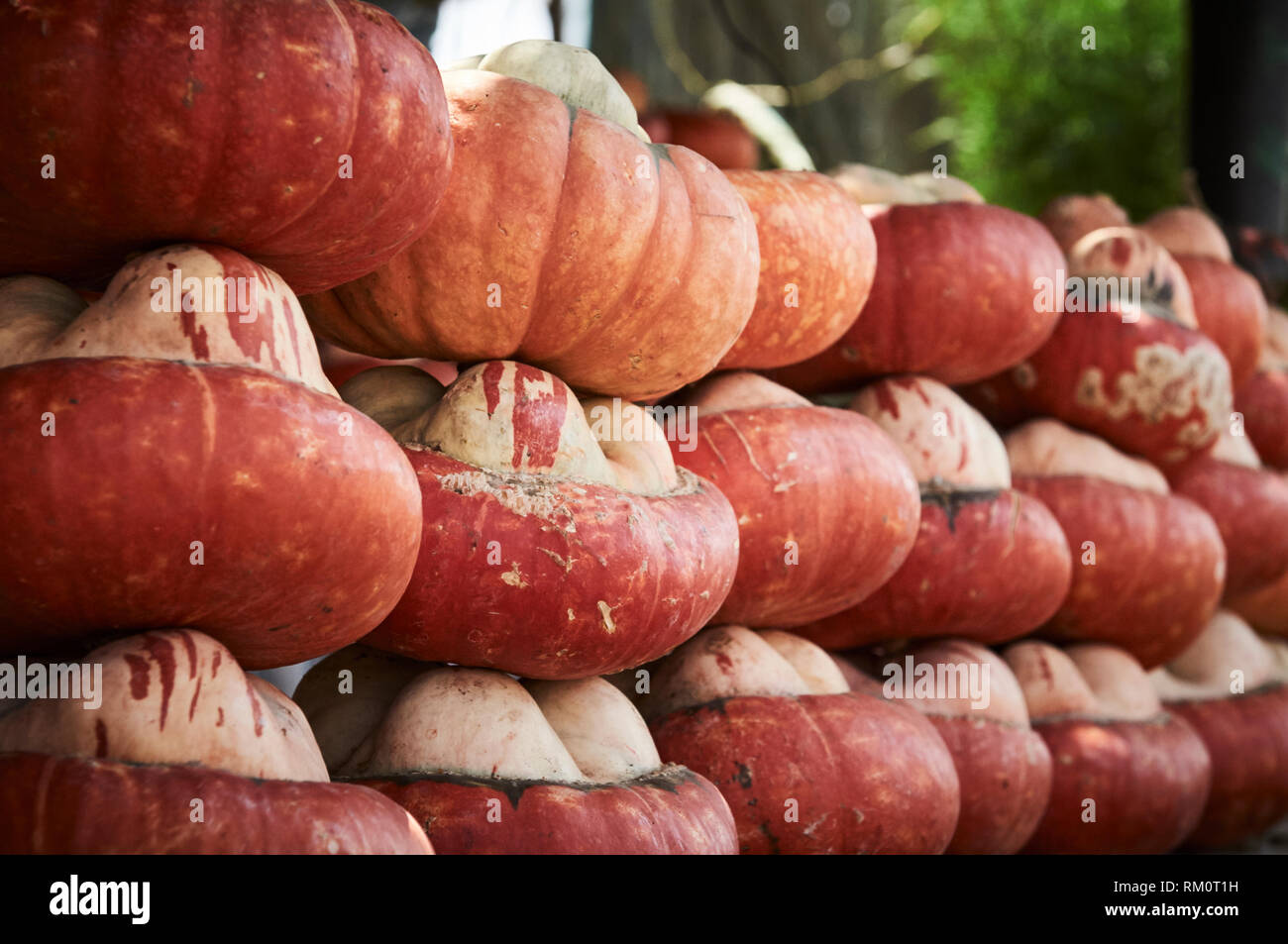 Righe del turbante impilati squash in corrispondenza di un lato della strada di stallo di mercato appena fuori di Fez, Marocco, Africa. Foto Stock