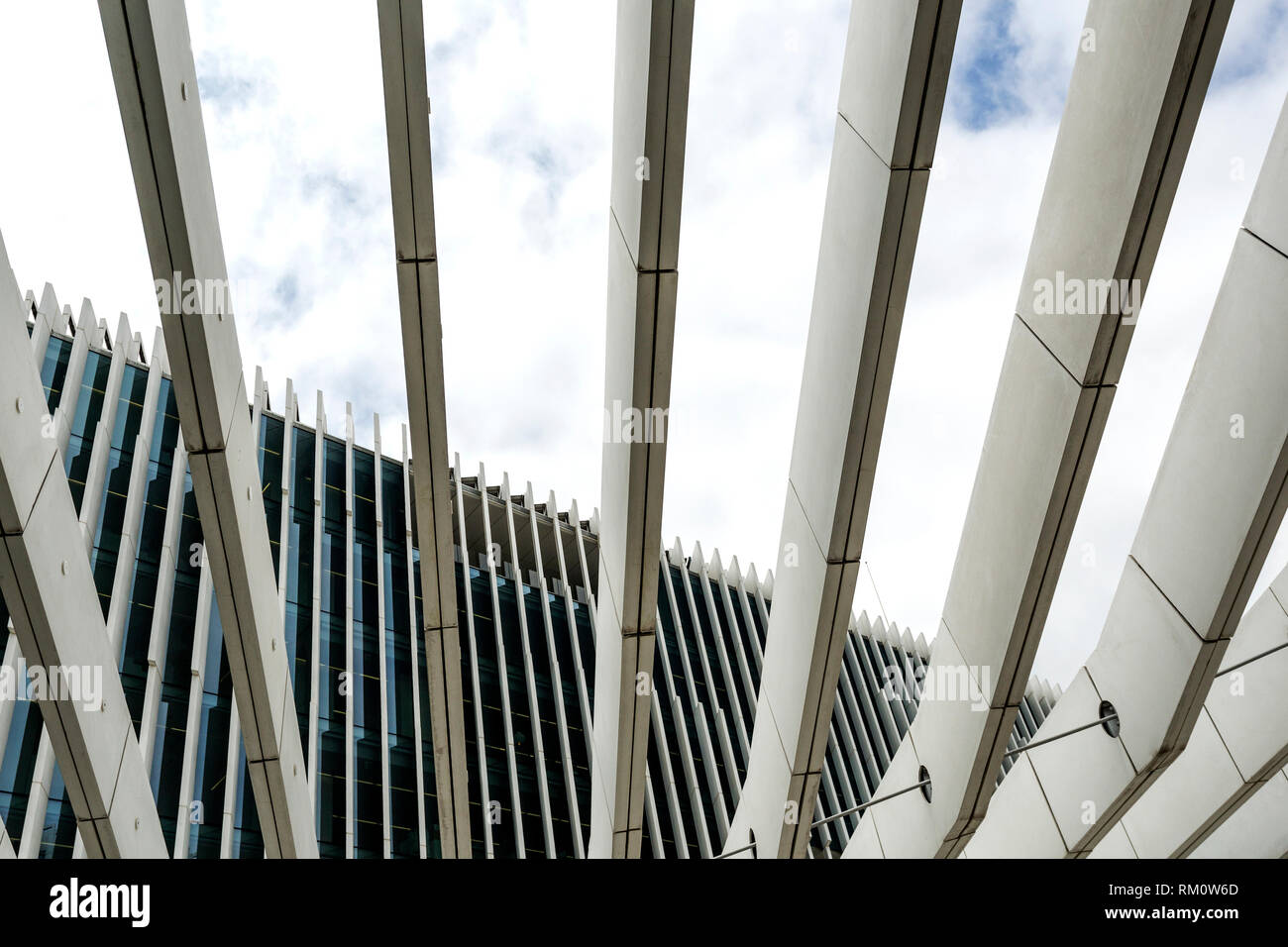 Dettaglio delle lunghe travi parallele creando il soffitto come struttura in tra le due torri, a Lisbona, Portogallo Foto Stock