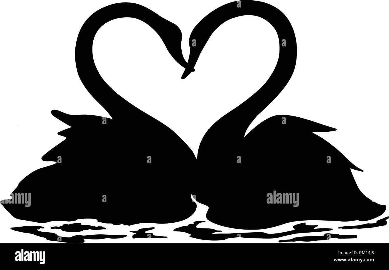 Una coppia di cigni nuoto insieme in un lago, in bianco e nero di illustrazione, il giorno di San Valentino, 14 febbraio Illustrazione Vettoriale