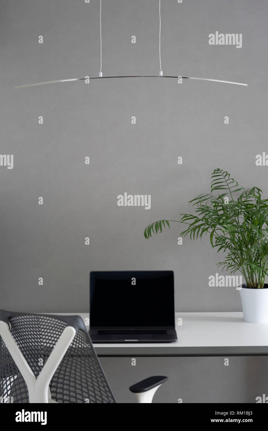 Up-to-date nuovo notebook nero, verde vaso su una scrivania, sedia ortopedica - Confortevole area di lavoro con illuminazione diurna. Foto Stock