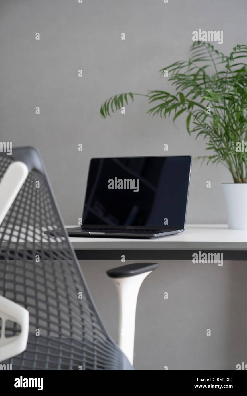 Ben disigned ergonomia del posto di lavoro in ufficio con luce diurna naturale. Area di lavoro per computer con arredamento moderno e nuovo computer portatile. Foto Stock