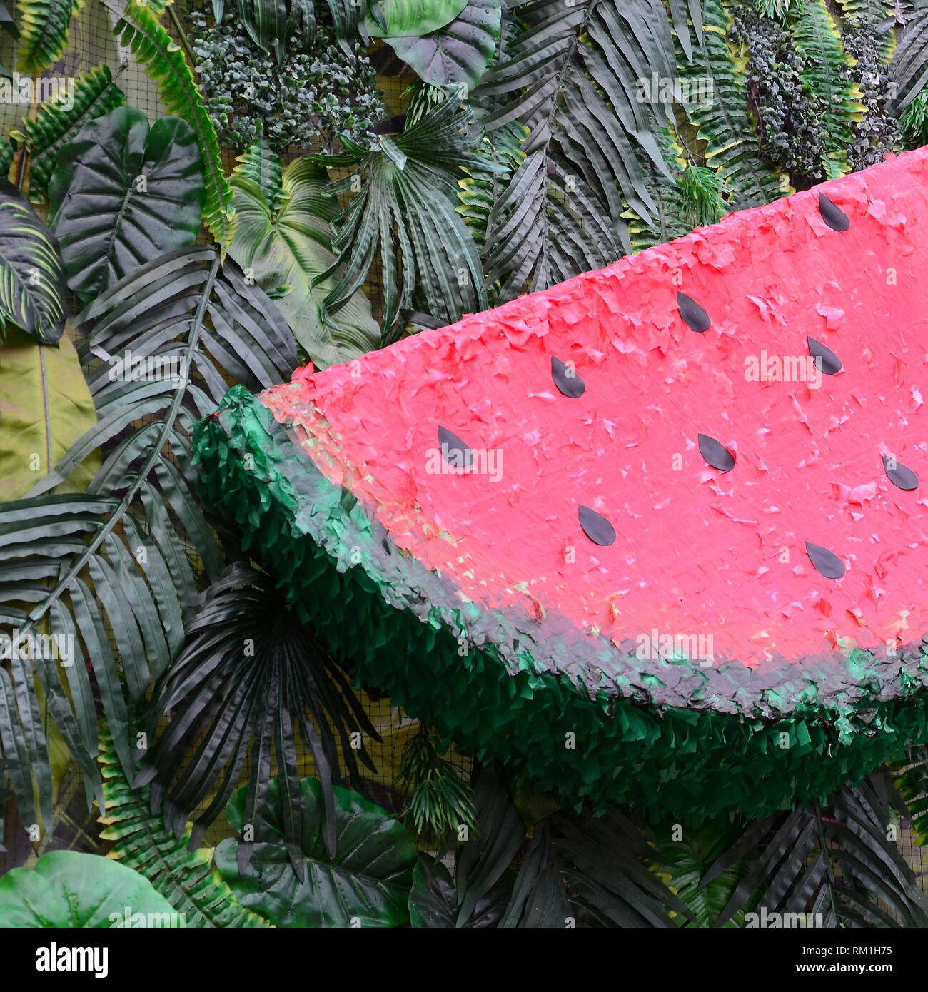 Modello di tropicale con la giungla di foglie e frutti di anguria sfondo floreale. Anguria in plastica con strato di foglie di palma Foto Stock