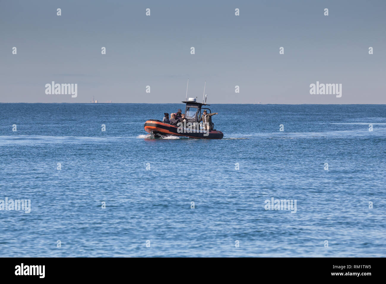 Newport avventura costiere barca con passeggeri su una balena e vita marina guardando il viaggio fuori di Newport Beach in California, Stati Uniti d'America. Foto Stock