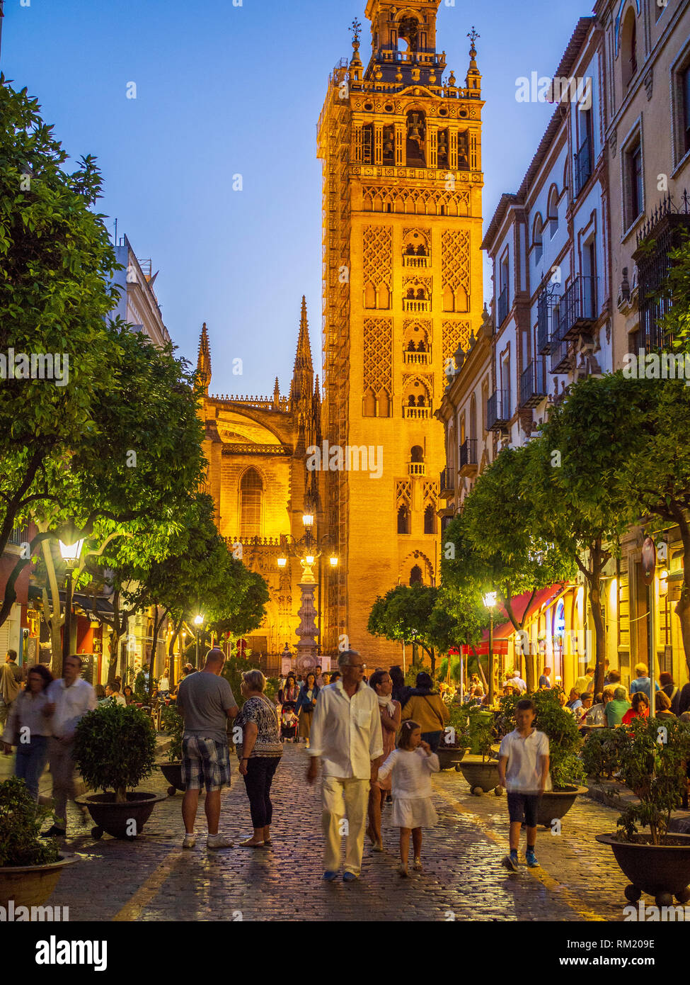 Cattedrale di Siviglia è intricato del XII secolo giralda, precedentemente un minareto. Costruito sul sito di Moorish del XII secolo moschea Almohade, la cattedrale è Foto Stock