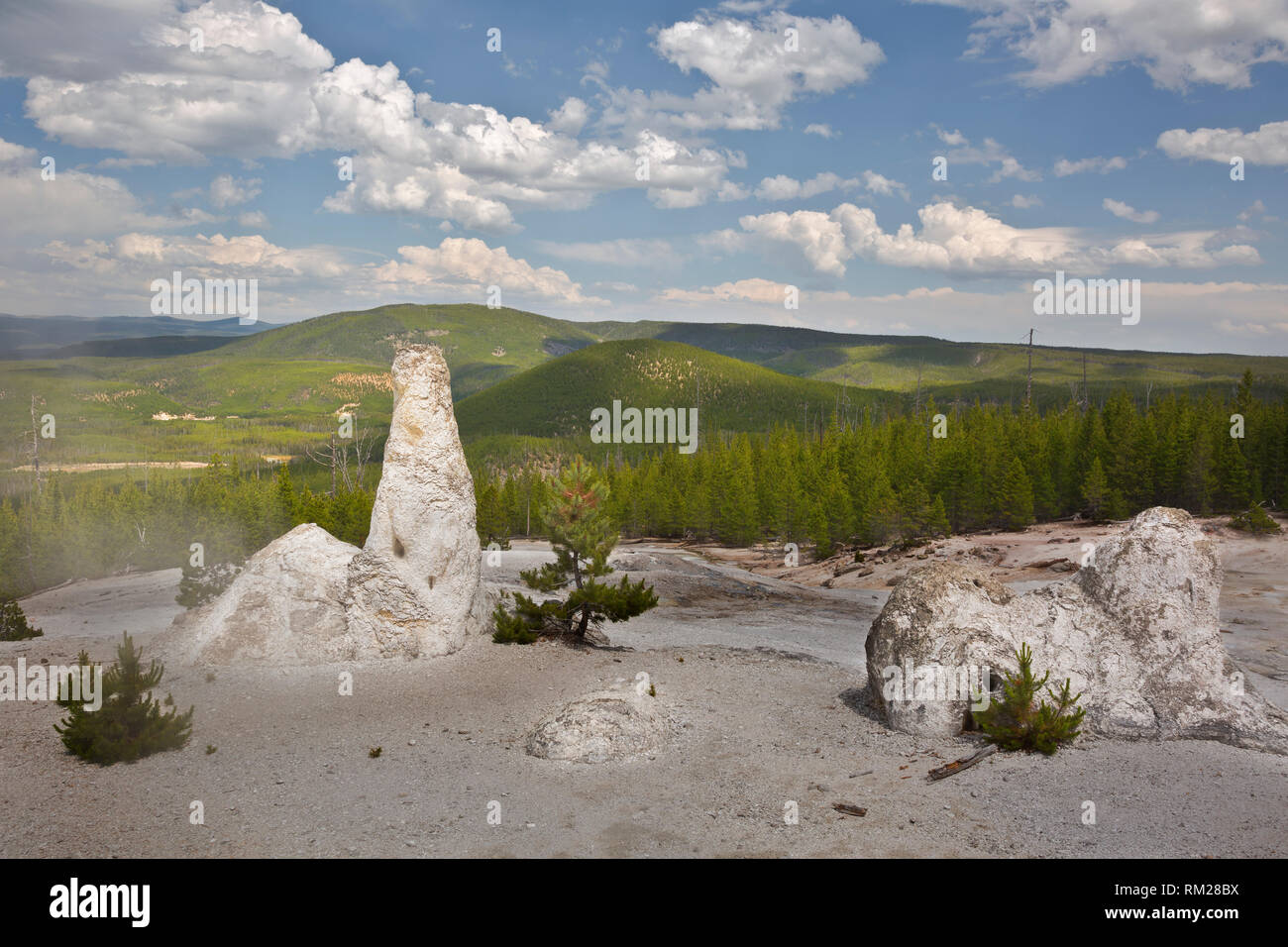 WY03457-00...WYOMING - Vecchio geyser coni nel monumento Geyser Basin affacciato sul fiume Gibbon nel Parco Nazionale di Yellowstone. Foto Stock