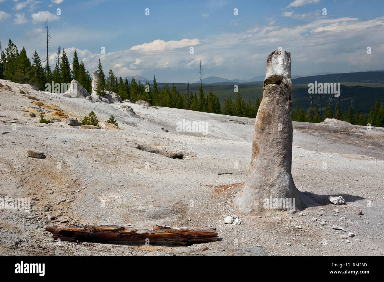 WY03462-00...WYOMING - Camino cono geyser nel monumento Geyser Basin del Parco Nazionale di Yellowstone. Foto Stock