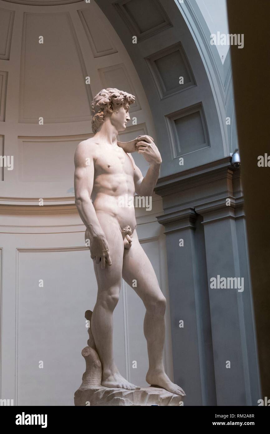 Michelangelos' famosa scultura di David in tre quarti di vista, incorniciato dalla cupola architettonica e colonne di grigio della Galleria dell'Accademia, Foto Stock