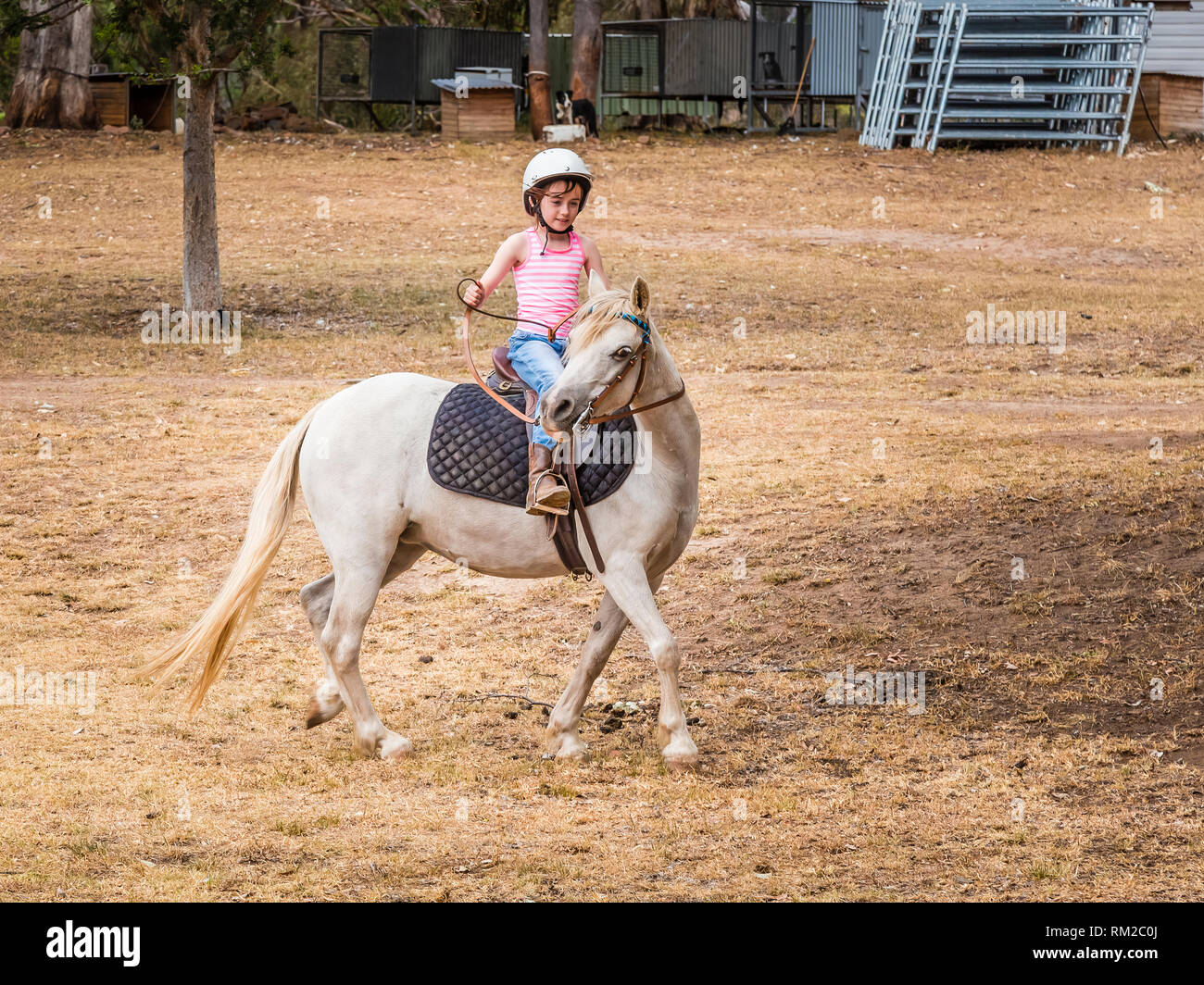 Un giovane bambino ad imparare a guidare un cavallo n la parte superiore la Hunter Valley, NSW, Australia. Foto Stock