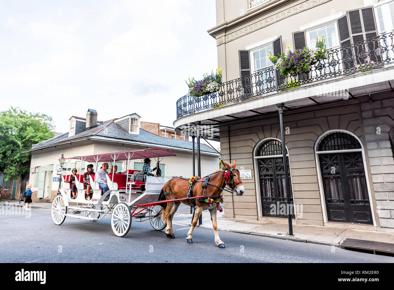 New Orleans, Stati Uniti d'America - 23 Aprile 2018: Royal street nel centro storico della città in Louisiana con cavalli e muli carrello buggy tour guida con le persone Foto Stock