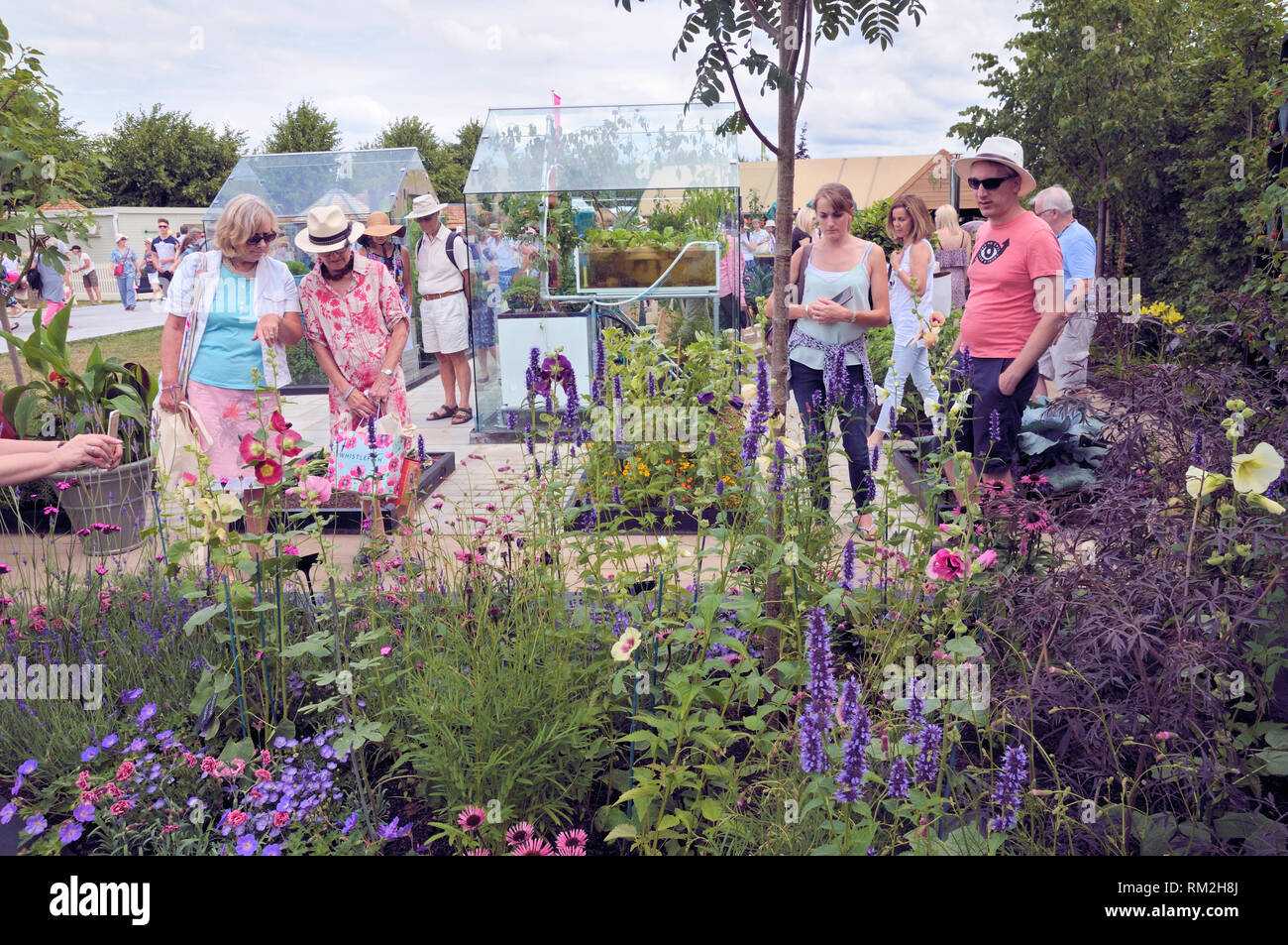 I visitatori si ispirano ai giardini dell'annuale RHS Hampton Court Palace Garden Festival (ex Hampton Court Flower Show), Inghilterra, Regno Unito Foto Stock