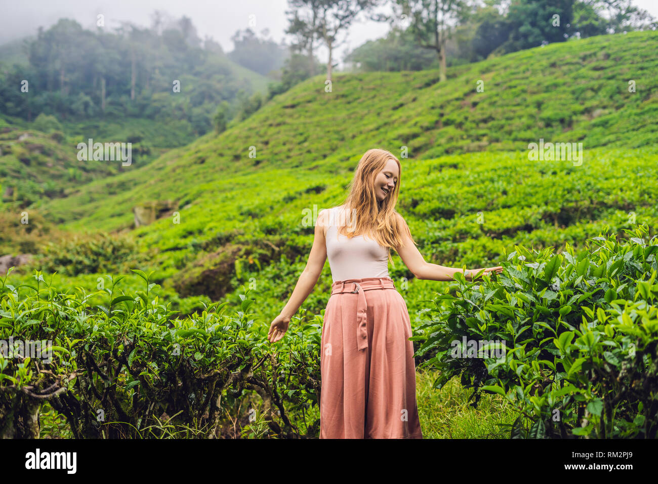 Donne turistico a una piantagione di tè. Selezionate naturali, fresche foglie di tè tè in fattoria in Cameron Highlands, Malaysia. Il concetto di ecoturismo Foto Stock