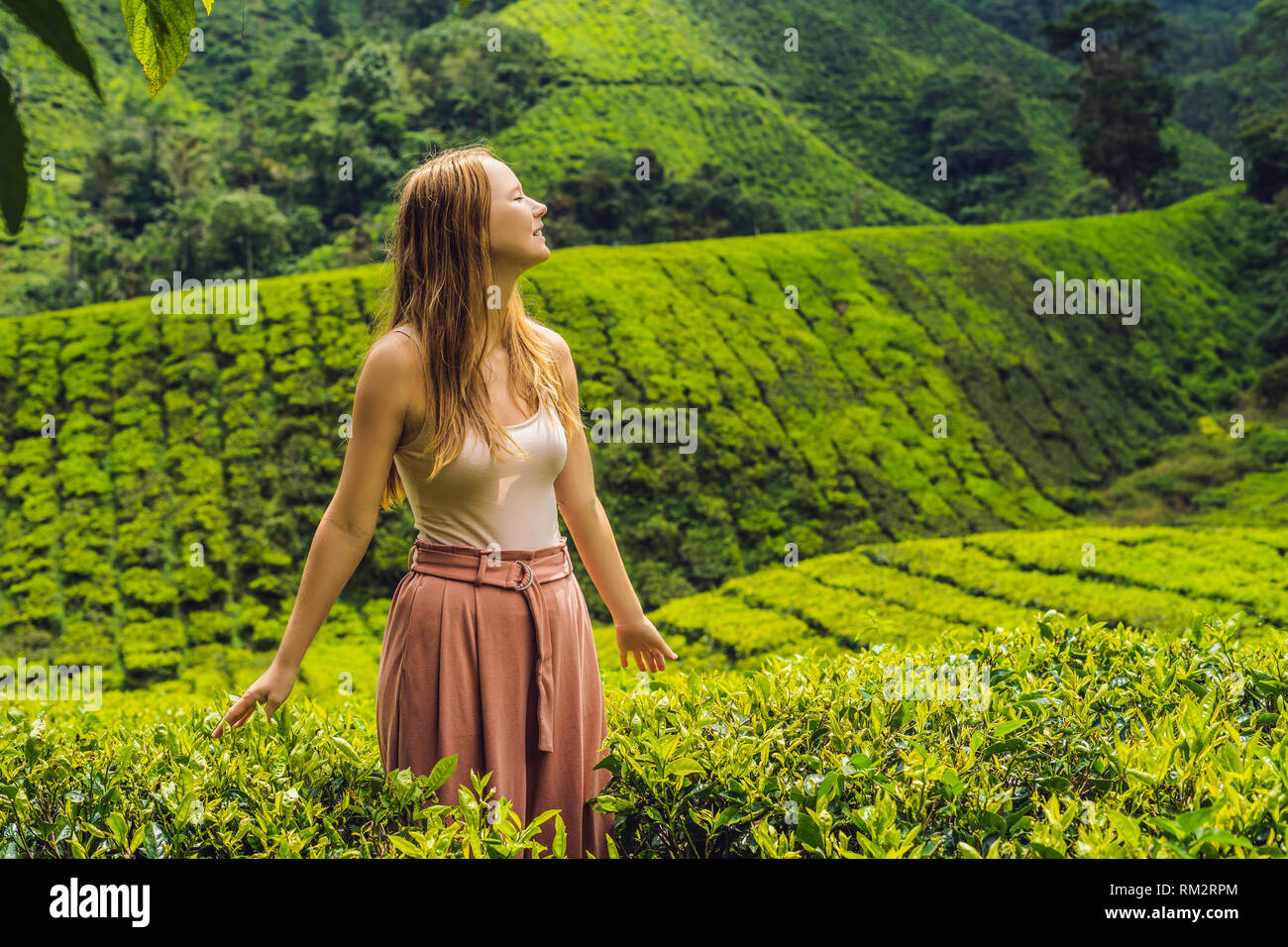 Donne turistico a una piantagione di tè. Selezionate naturali, fresche foglie di tè tè in fattoria in Cameron Highlands, Malaysia. Il concetto di ecoturismo Foto Stock