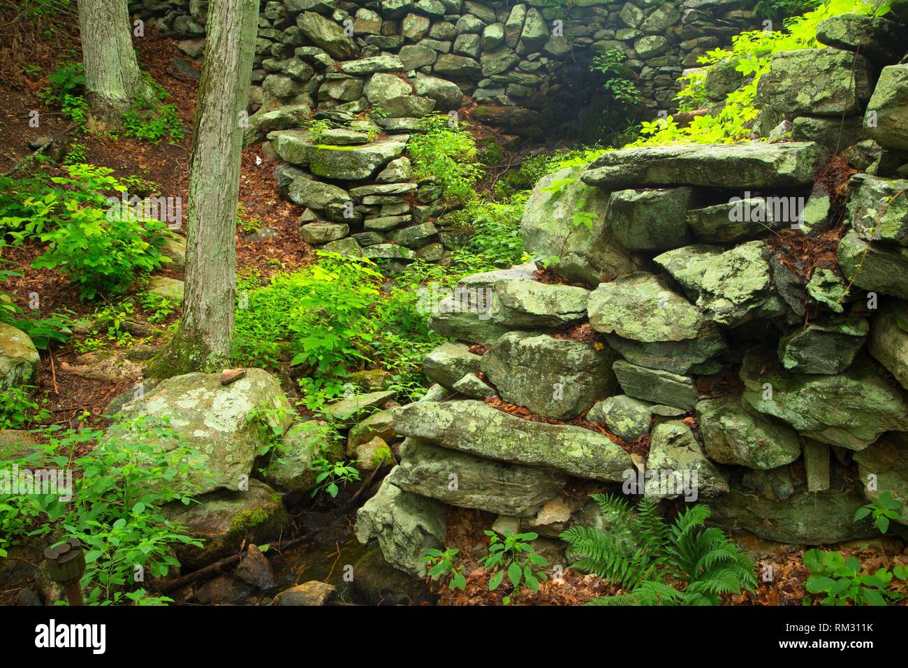 Diga di storico e sito del mulino lungo il sentiero di alloro, Devils Den preservare, Connecticut. Foto Stock
