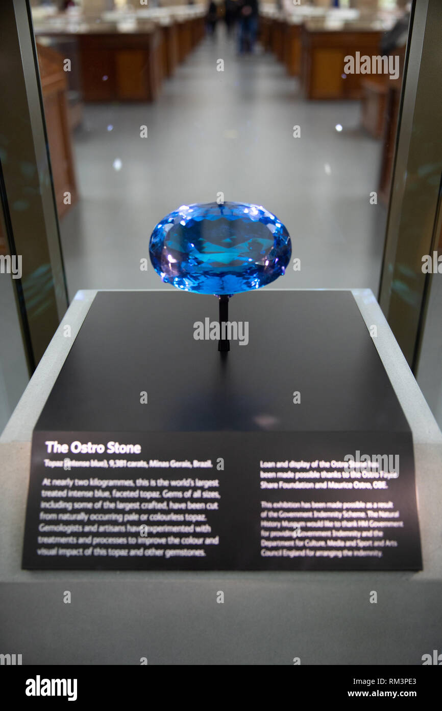 L'Ostro pietra, in mostra al Museo di Storia Naturale di Londra, Regno Unito Foto Stock