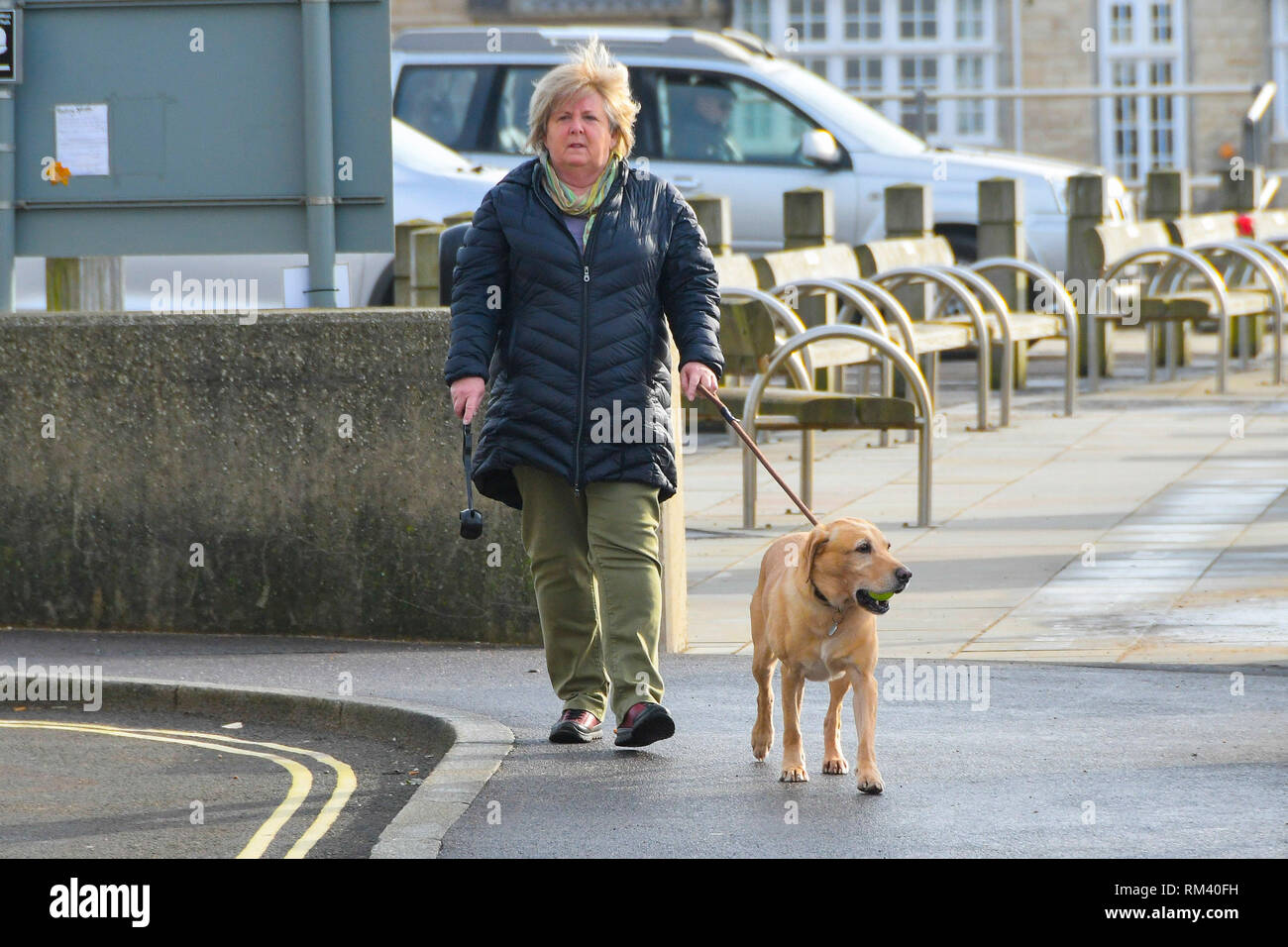 West Bay, Dorset, Regno Unito. Il 13 febbraio 2019. Regno Unito Meteo. Fumoso sole riscalda un dog walker chi è a piedi lungo il lungomare di West Bay nel Dorset che è avvolta bene dopo una fredda per iniziare la giornata. Le temperature sono impostate a salire come venti da sud dai tropici sono impostati a soffiare di tutta la contea nel giro di un paio di giorni portando temperature sopra la media. Credito Foto: Graham Hunt/Alamy Live News Foto Stock