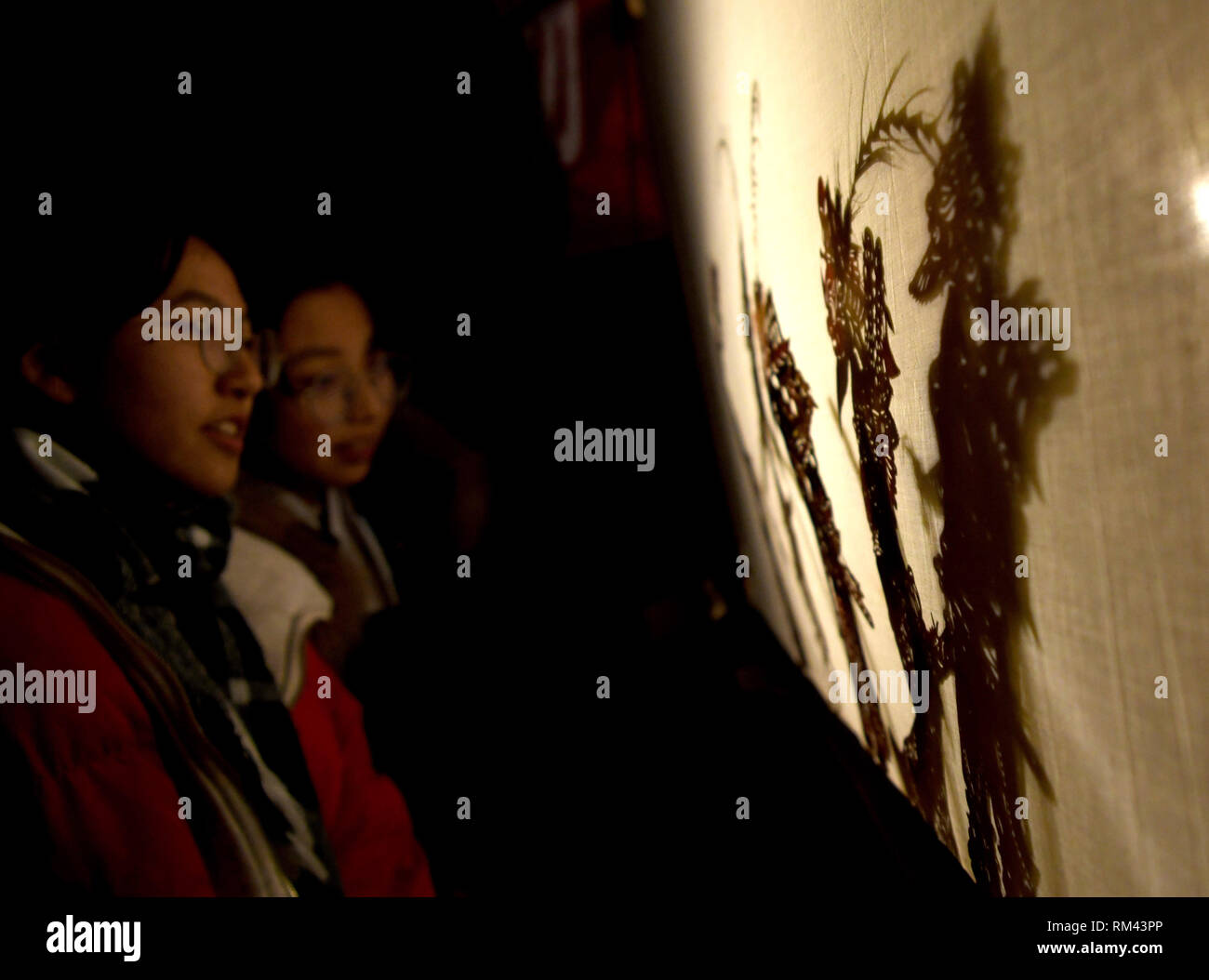 (190213) -- DINGXI, Feb 13, 2019 (Xinhua) -- Le persone godono di un'ombra spettacolo di marionette Cuijiahe villaggio della contea di Weiyuan Dingxi in città, a nord-ovest della Cina di Provincia di Gansu, Feb 12, 2019. Le persone godono di molteplici attività culturali qui per festeggiare il nuovo anno nel calendario lunare cinese. (Xinhua/Wang pista) Foto Stock