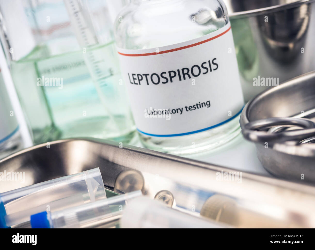 Leptospirosi test in laboratorio, immagine concettuale, composizione in orizzontale Foto Stock