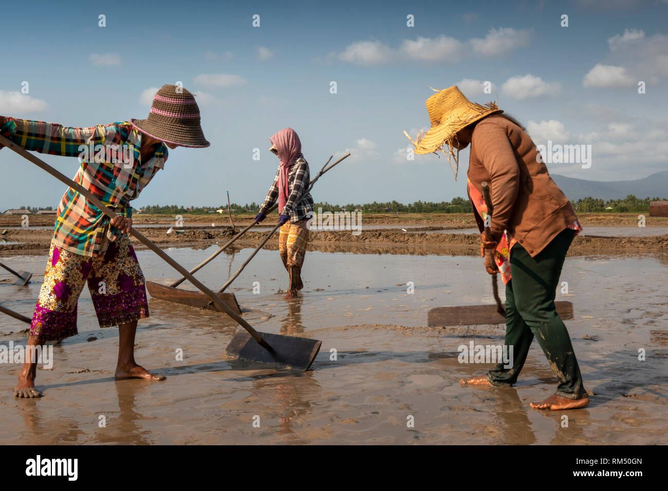 Cambogia, Kampot Provincia, Kampot, Tuek Chhou, sale i campi, le donne preparare il campo per l'allagamento con acqua di mare Foto Stock