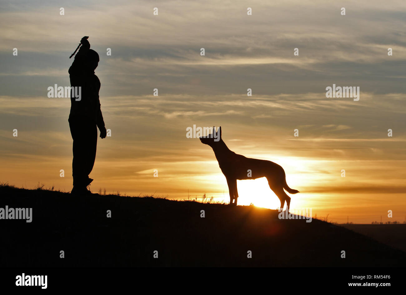 Uomo e cane contro lo sfondo di un incredibile tramonto Foto Stock