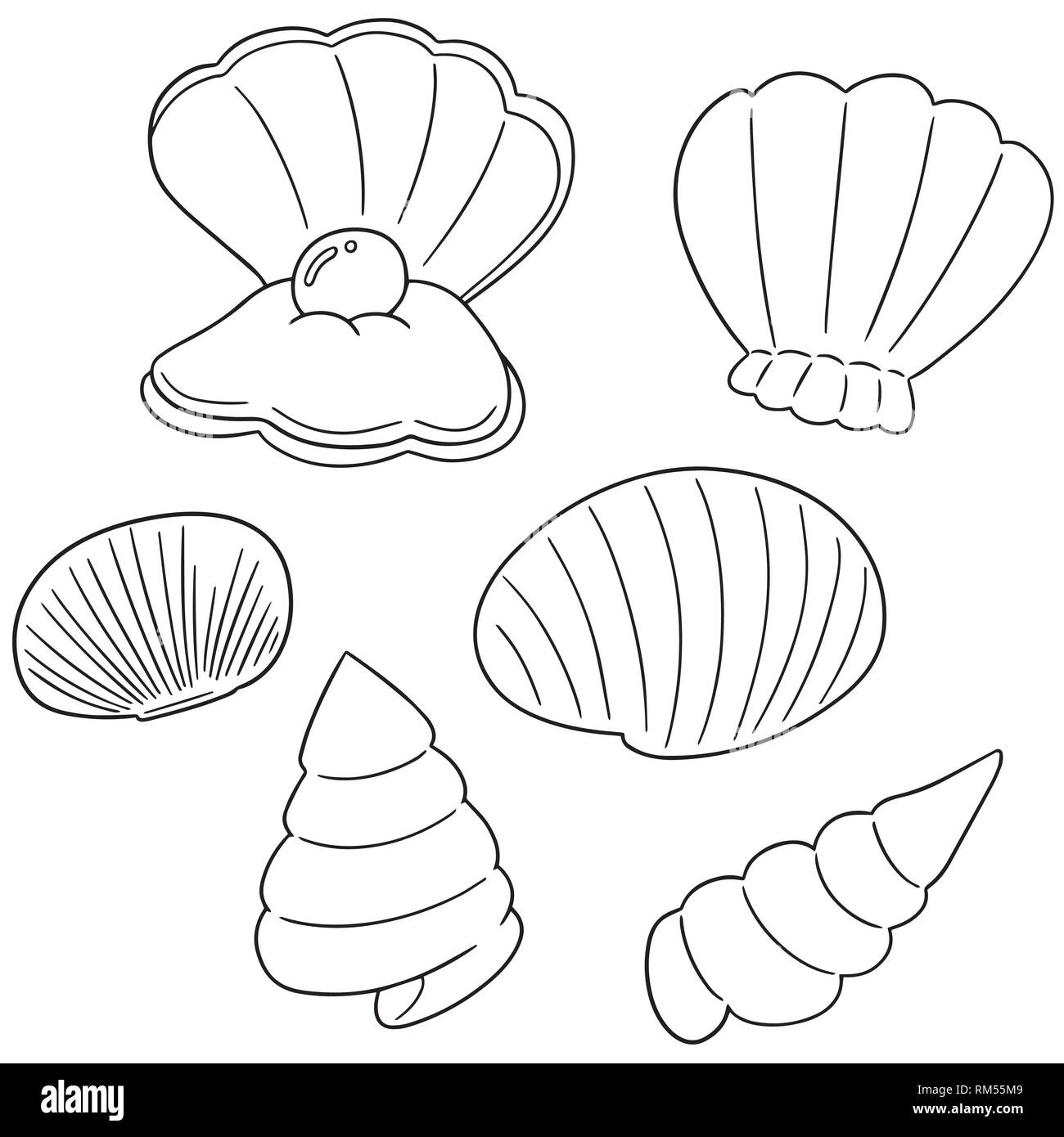 Set di vettore di conchiglia di mare Illustrazione Vettoriale