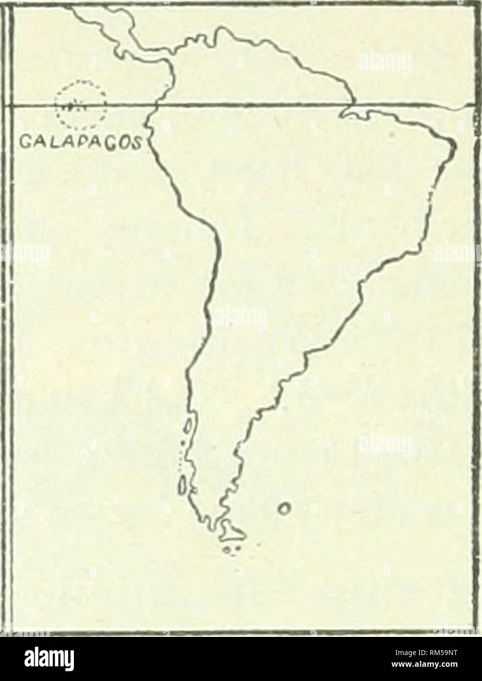 . Relazione annuale del consiglio di amministrazione di Regents dello Smithsonian Institution. Smithsonian Institution; Smithsonian Institution. Archivi; scoperte nel campo della scienza. 644 RELAZIONE OP MUSEO NAZIONALE, 1889. Nella semplicità delle Mascarene tartarughe tbis non è così singolare, come Maurizio, Bourbon e Rodriguez sono ad una certa distanza al di là; ma le tartarughe Galapagos isole abitano la maggior parte dei quali sono in vista di un ' altra, e alcuni separati da soli 8 o 10 miglia di mare. 0* Abingdon Bindloes o torre di 0 Jam.ea Narborotigny ) 0 £-;*^-Jndefa.HGA6le Bamrvgton, C^J Albemarle Chatham Cha"es H^. Mappa 6-la distribuzione Foto Stock