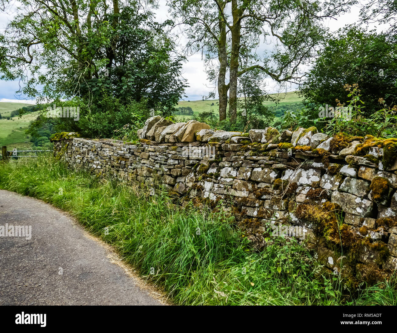A SECCO tradizionale muro di pietra nella campagna gallese con erba e alberi lungo il lato di un percorso. Foto Stock