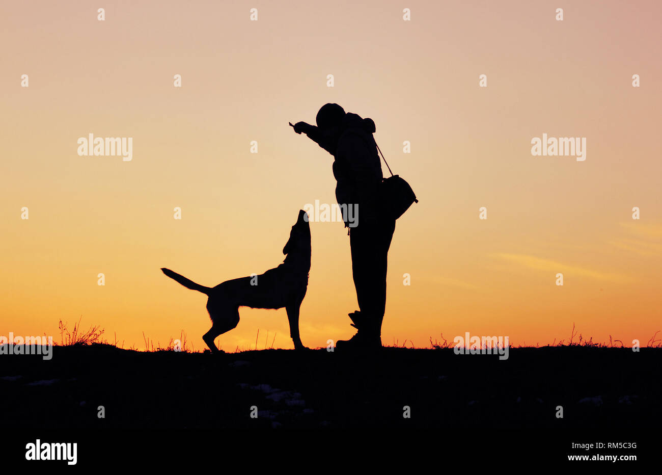 L uomo e il cane sta giocando e saltando sullo sfondo del tramonto Foto Stock