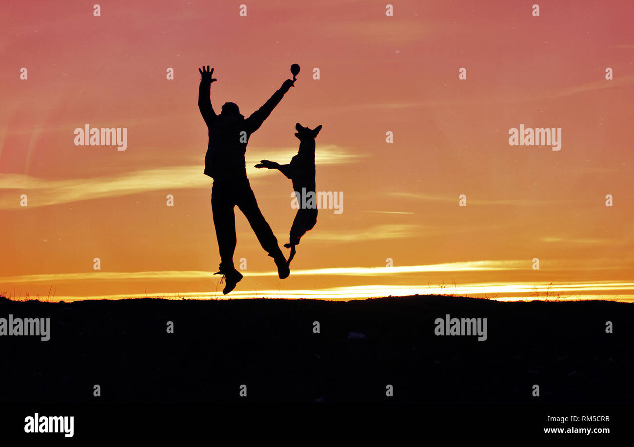 Uomo e cane sono il salto in cielo contro lo sfondo di un tramonto. Foto Stock
