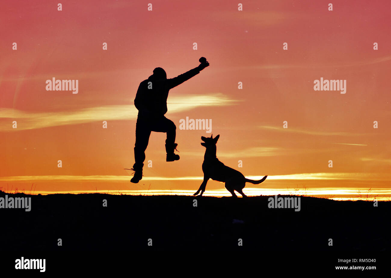 Uomo e cane sono il salto in cielo contro lo sfondo di un tramonto. Foto Stock