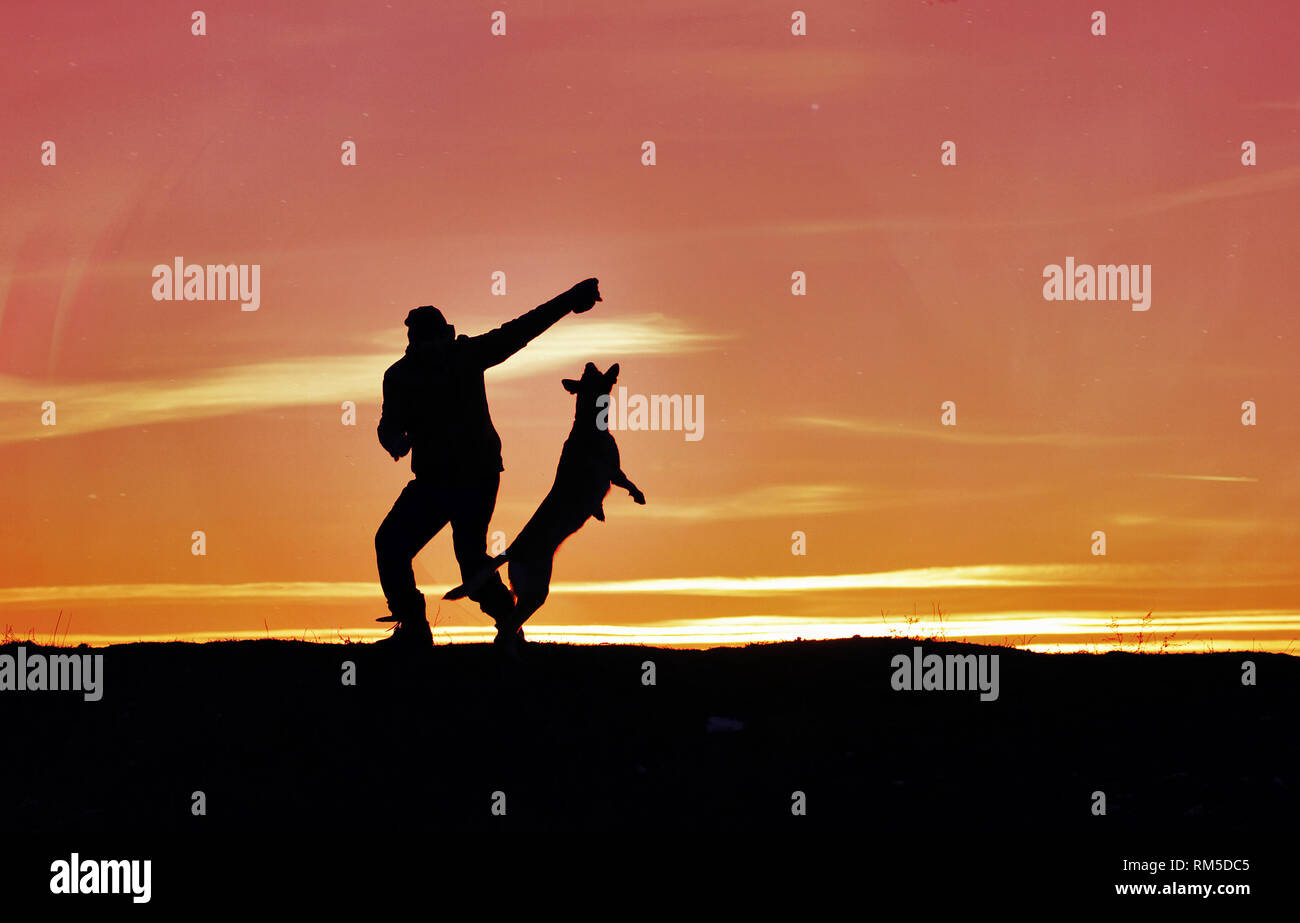L uomo e il cane sta giocando e saltando sullo sfondo del tramonto Foto Stock
