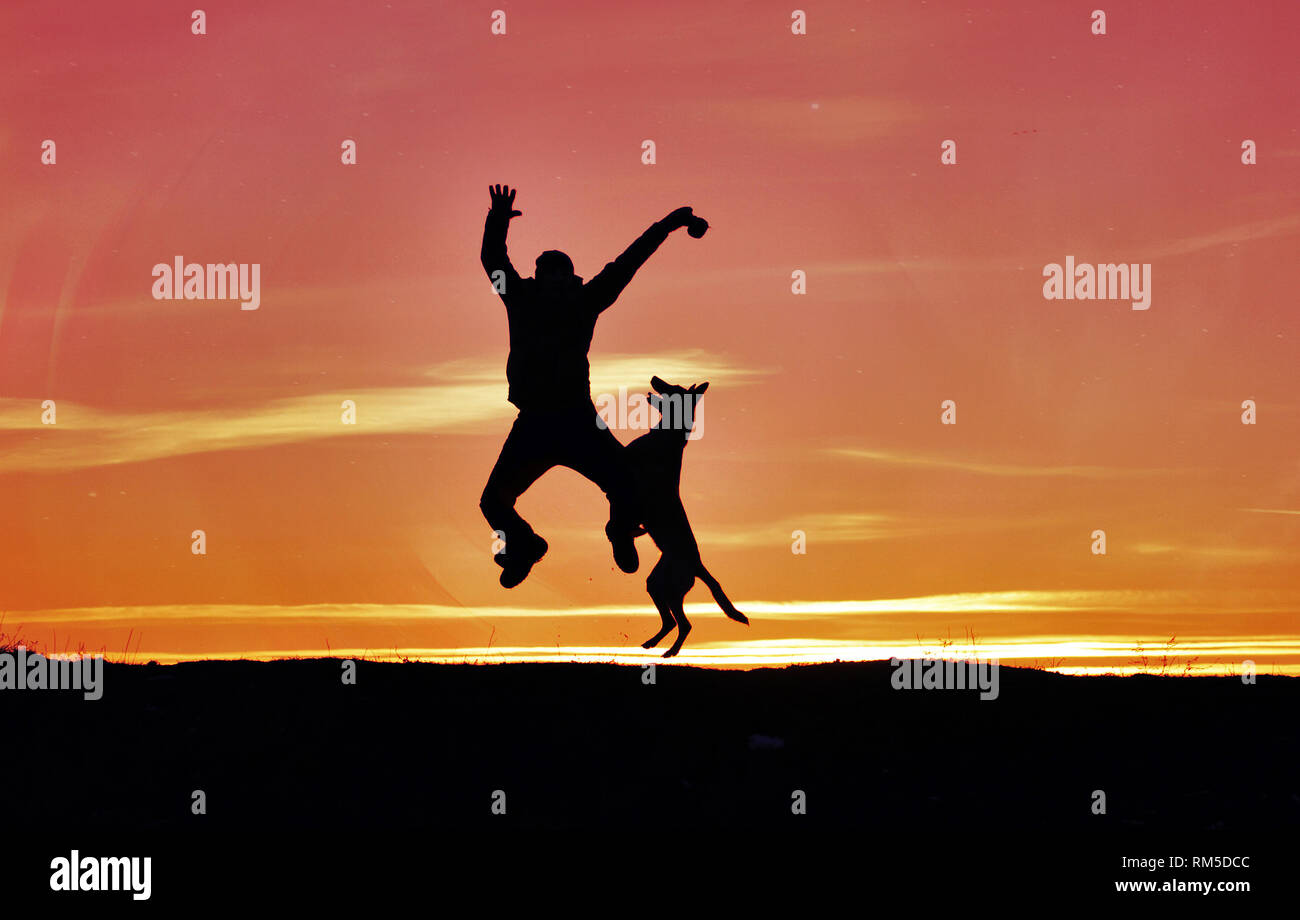 Uomo e cane sono il salto in cielo contro lo sfondo di un tramonto. Foto Stock