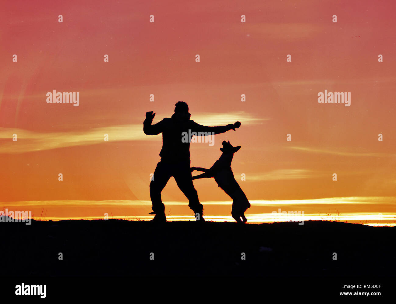 Uomo e cane sono il salto in cielo contro lo sfondo di un tramonto. Foto Stock