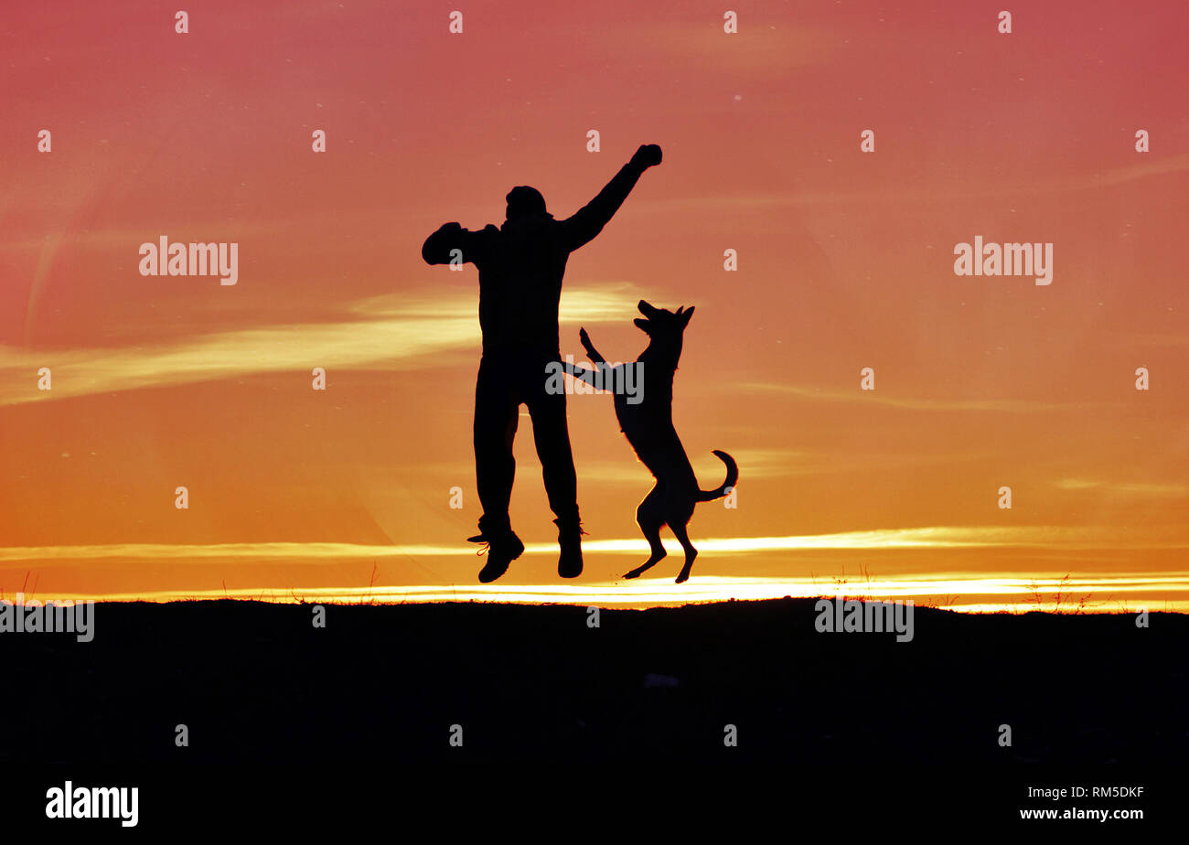 Uomo e cane sono il salto in cielo contro lo sfondo di un tramonto. Foto Stock