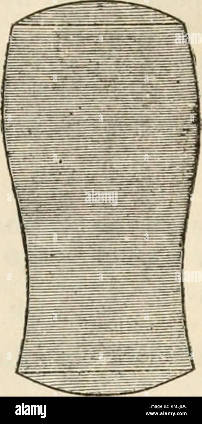 . Relazione annuale del consiglio di amministrazione di Regents dello Smithsonian Institution. Smithsonian Institution; Smithsonian Institution. Archivi; scoperte nel campo della scienza. la prima. Se ripetiamo la stessa manipolazione un numero opportuno di volte, si devono ottenere il cilindro di altezza maggiore che il nostro apparato consente la. Ho in tal modo ottenuto un perfettamente massa cilindrica 7 cen- timeters di diametro e di circa 14 centimetri di altezza, (Fig. 23.) per consentire il cilindro di questa notevole altezza essendo perfetto, esso è il requisito che per- fect uguaglianza venga stabilito tra il densiti Foto Stock