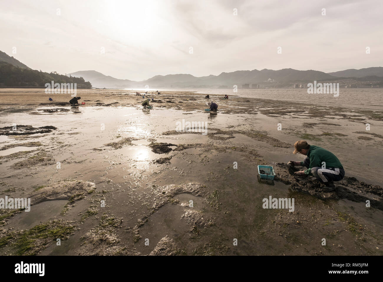 Il viaggio in Giappone, paesaggio e piazzali Foto Stock